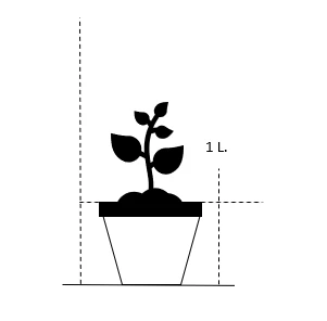 Fjerbregne Athyrium Filix-femina 1 liter potte Fjerbregne Athyrium Filix-femina 1 Liter Potte -Plantetorvet 25 1 liter potte c4a2 7
