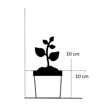 Skovjordbær Fragaria Vesca 10 cm. potte Skovjordbær Fragaria Vesca 10 Cm. Potte -Plantetorvet 609 10 cm potte firkantet 7103