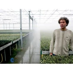 Kristtorn Ilex Aquifolium Med Klump,- 150-175 Cm. 6 Kristtorn Ilex Aquifolium Med Klump,- 150-175 Cm. -Plantetorvet fi15282 ilex aquifolium 56c6