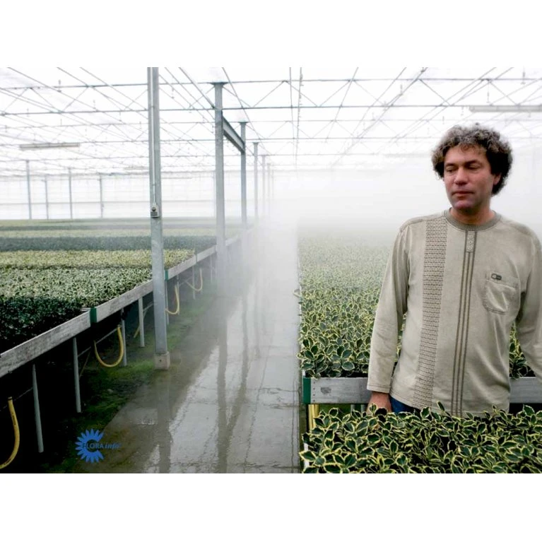 Kristtorn Ilex Aquifolium Med klump,- 150-175 cm. Kristtorn Ilex Aquifolium Med Klump,- 150-175 Cm. -Plantetorvet fi15282 ilex aquifolium 56c6