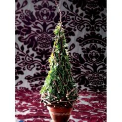 Småbladet Efeu Hedera Helix Potte 2,0 Liter,- Opbundet 19 Småbladet Efeu Hedera Helix Potte 2,0 Liter,- Opbundet -Plantetorvet fi5896 hedera helix 5704