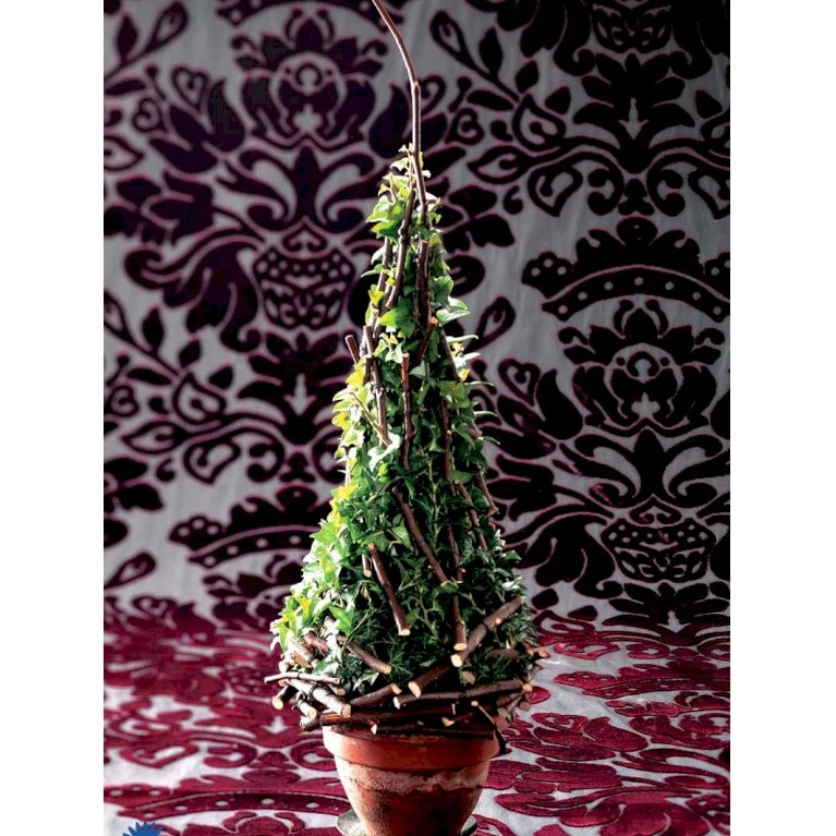 Småbladet Efeu Hedera Helix Potte 2,0 liter,- Opbundet Småbladet Efeu Hedera Helix Potte 2,0 Liter,- Opbundet -Plantetorvet fi5896 hedera helix 5704