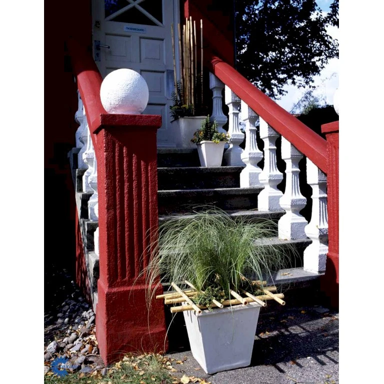 Småbladet Efeu Hedera Helix Potte 2,0 liter,- Opbundet Småbladet Efeu Hedera Helix Potte 2,0 Liter,- Opbundet -Plantetorvet fi5896 hedera helix 83aa