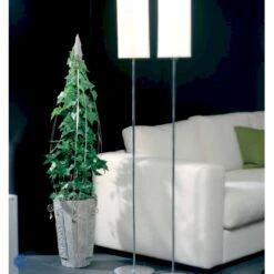 Småbladet Efeu Hedera Helix Potte 2,0 Liter,- Opbundet 12 Småbladet Efeu Hedera Helix Potte 2,0 Liter,- Opbundet -Plantetorvet fi5896 hedera helix a869