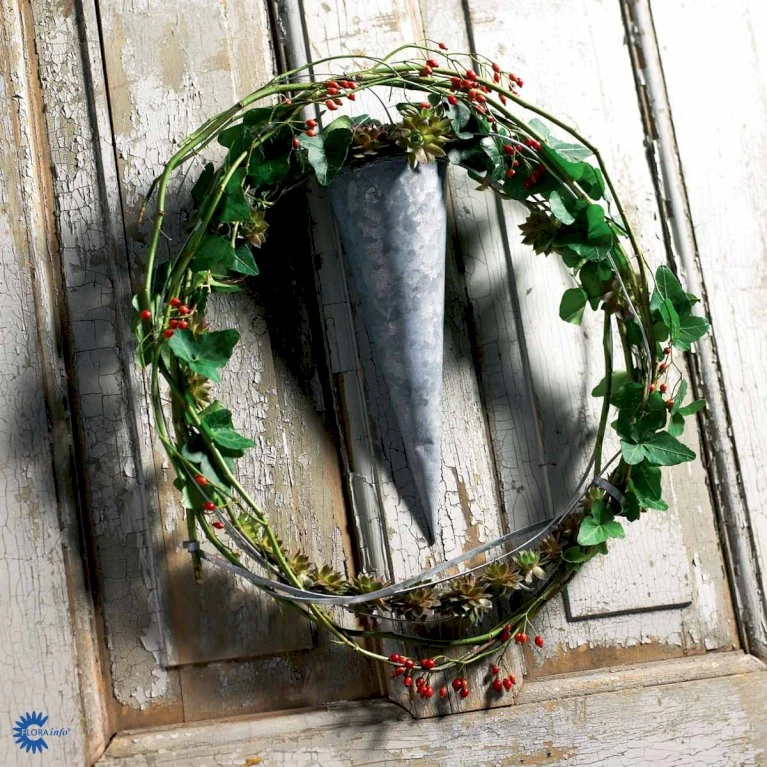 Småbladet Efeu Hedera Helix Potte 2,0 liter,- Opbundet Småbladet Efeu Hedera Helix Potte 2,0 Liter,- Opbundet -Plantetorvet fi5896 hedera helix df2b