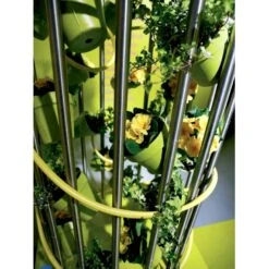 Småbladet Efeu Hedera Helix Potte 2,0 Liter,- Opbundet 13 Småbladet Efeu Hedera Helix Potte 2,0 Liter,- Opbundet -Plantetorvet fi5896 hedera helix ead7