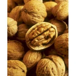 Almindelig Valnød Juglans Regia Heister 200-250 Cm. Med Potte -Plantetorvet p1165 8160 juglans regia 734d