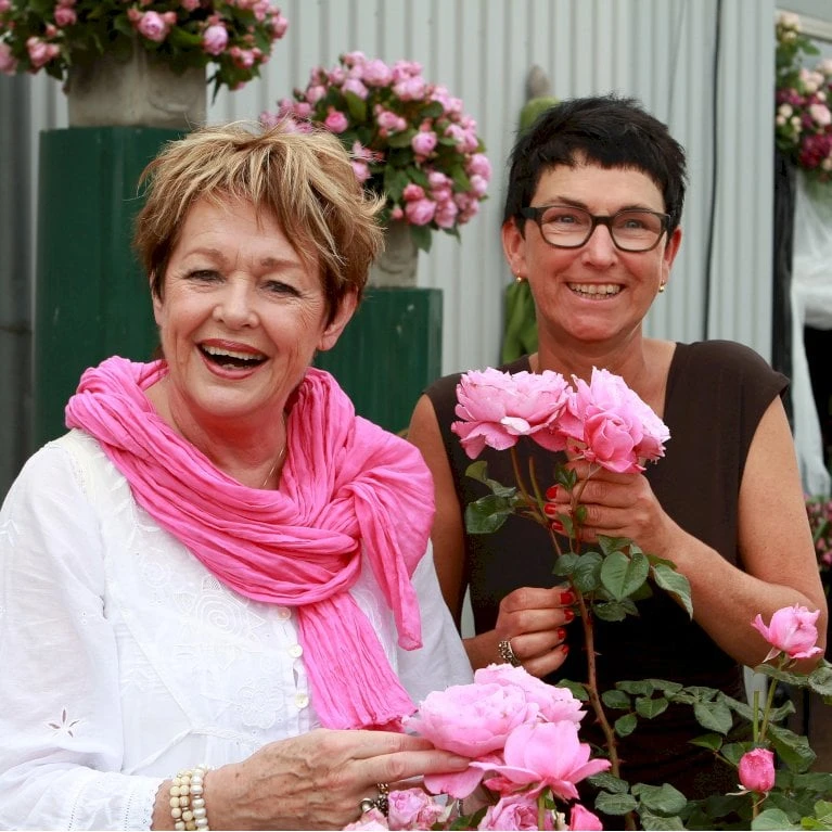 'Our Last Summer'™ Rosa X 'Our Last Summer'™ (Slyngrose) A-Kvalitet,- barrods roser min. 3 grene 'Our Last Summer'™ Rosa X 'Our Last Summer'™ (Slyngrose) A-Kvalitet,- Barrods Roser Min. 3 Grene -Plantetorvet p17954 52487 rosa x our last summer slyngrose 4934