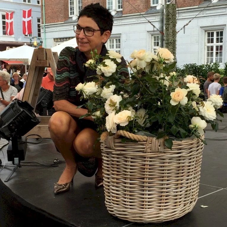 'Fru Nørby'™ Rosa X 'Fru Nørby'™ (Buketrose) A-Kvalitet,- barrods roser min. 3 grene 'Fru Nørby'™ Rosa X 'Fru Nørby'™ (Buketrose) A-Kvalitet,- Barrods Roser Min. 3 Grene -Plantetorvet p19465 51499 rosa x fru noerby buketrose 28e0