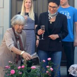 'Lise Nørgaard'™ Rosa X 'Lise Nørgaard'™ (Buketrose) A-Kvalitet,- Barrods Roser Min. 3 Grene 5 'Lise Nørgaard'™ Rosa X 'Lise Nørgaard'™ (Buketrose) A-Kvalitet,- Barrods Roser Min. 3 Grene -Plantetorvet p19466 51606 rosa x lise noergaard buketrose a834