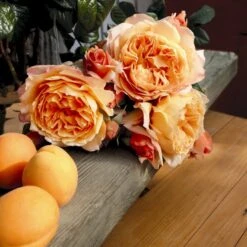 'Capri'® Rosa X 'Capri'® (Storblomstrende) A-Kvalitet,- Barrods Roser Min. 3 Grene -Plantetorvet p35323 53968 rosa x capri storblomstrende 595a