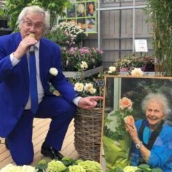 'Elin's Rose'™ Rosa X 'Elin's Rose'™ (Buketrose) A-Kvalitet,- Barrods Roser Min. 3 Grene 5 'Elin's Rose'™ Rosa X 'Elin's Rose'™ (Buketrose) A-Kvalitet,- Barrods Roser Min. 3 Grene -Plantetorvet p35393 51465 rosa x elin s rose buketrose 752f