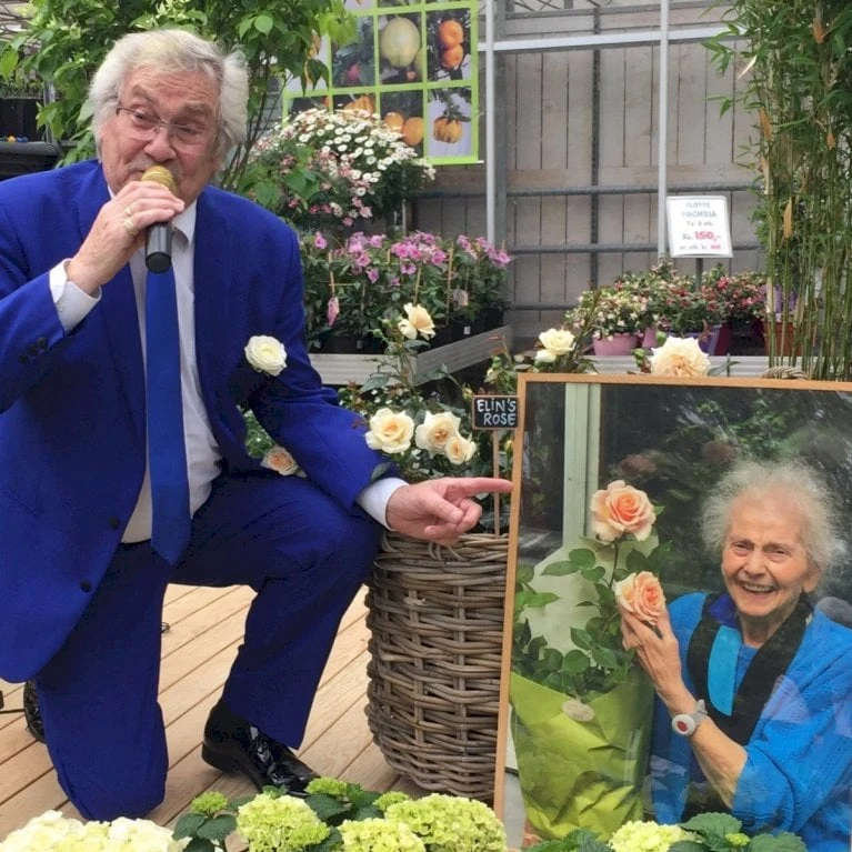 'Elin's Rose'™ Rosa X 'Elin's Rose'™ (Buketrose) A-Kvalitet,- barrods roser min. 3 grene 'Elin's Rose'™ Rosa X 'Elin's Rose'™ (Buketrose) A-Kvalitet,- Barrods Roser Min. 3 Grene -Plantetorvet p35393 51465 rosa x elin s rose buketrose 752f