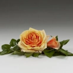 'Sarai™ Hit'® Rosa X 'Sarai™ Hit'® (Miniaturerose) A-Kvalitet,- Barrods Roser Min. 3 Grene -Plantetorvet p35436 52057 rosa x sarai hit miniaturerose 7fbd