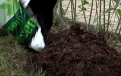 Hækbooster Pakke Til 30 Meter - Hækbooster Pakke Til 30 Meter - Spagnum Og Muld