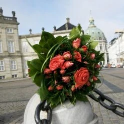 'Prinsesse Marie' Rosa X 'Prinsesse Marie' (Storblomstrende) A-Kvalitet,- Barrods Roser Min. 3 Grene 4 'Prinsesse Marie' Rosa X 'Prinsesse Marie' (Storblomstrende) A-Kvalitet,- Barrods Roser Min. 3 Grene -Plantetorvet p5265 51362 rosa x prinsesse marie storblomstrende 75a7